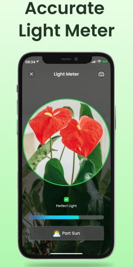 Plant Identifier App Plantiary